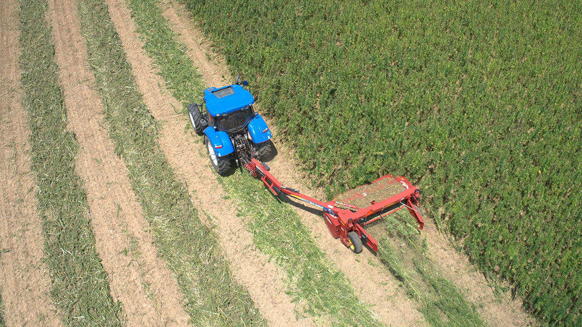 Hemp production equipment